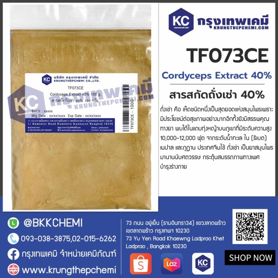 Cordyceps Extract 40% : สารสกัดถั่งเช่า 40%
