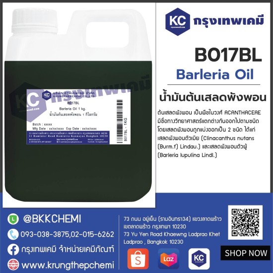 Barleria Oil : น้ำมันต้นเสลดพังพอน (ตัวผู้)